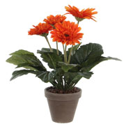 Artificial Plant - Orange Gerbera - MICA